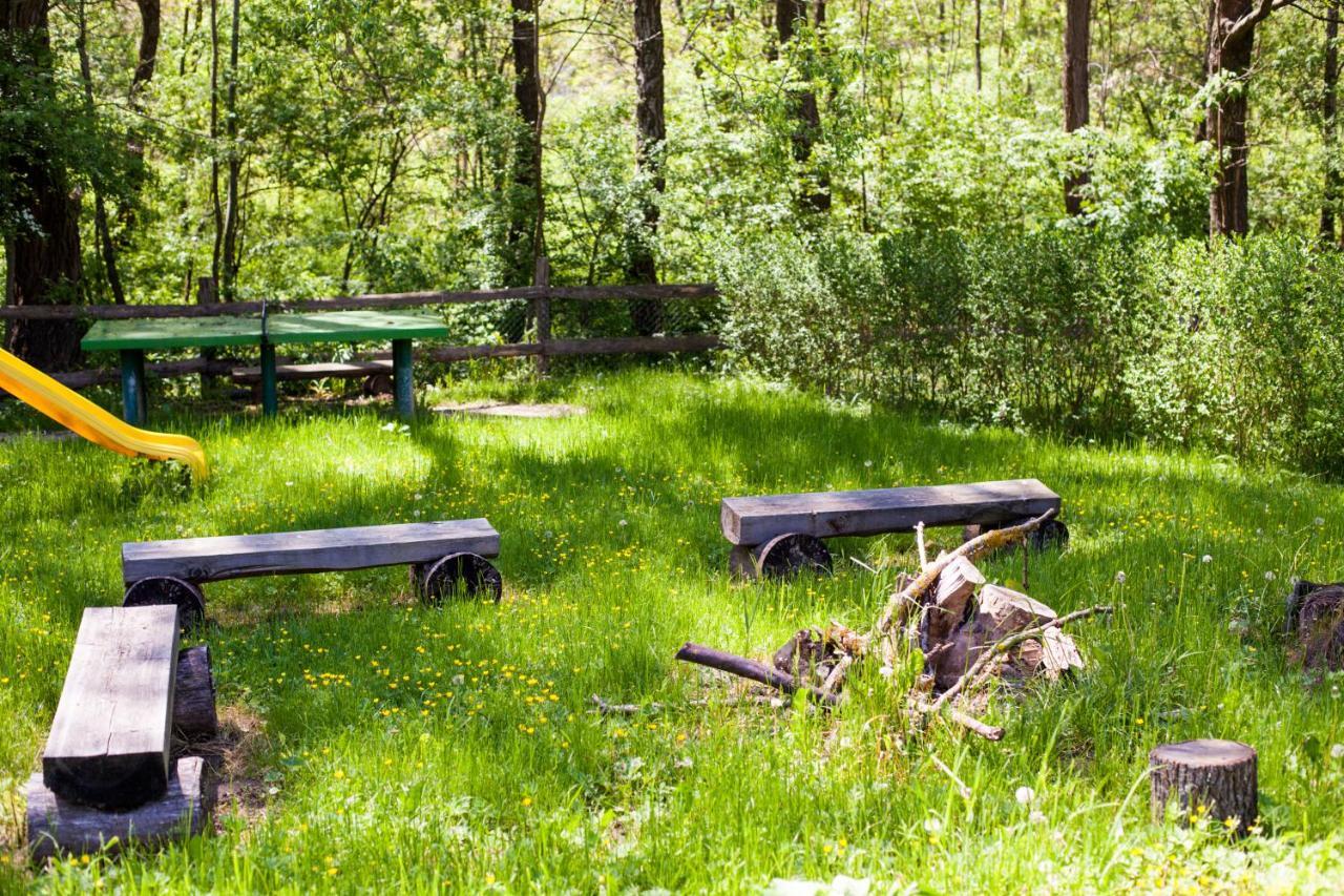 Studiouri Valisoara Lägenhet Exteriör bild